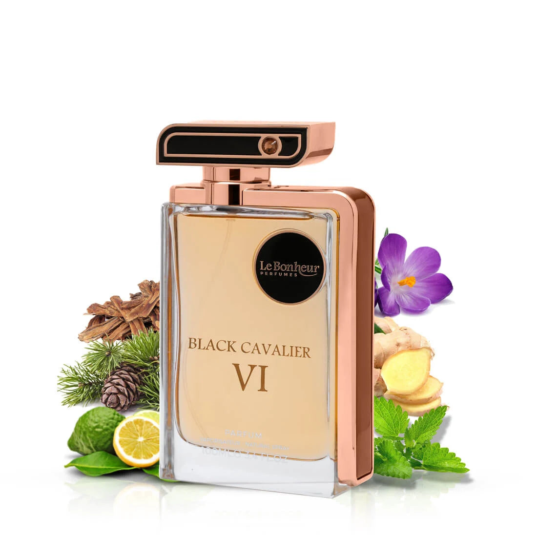 Eau de Parfum - Black Cavalier VI